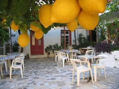 Lemon House Apartment Kokkari Exterior photo